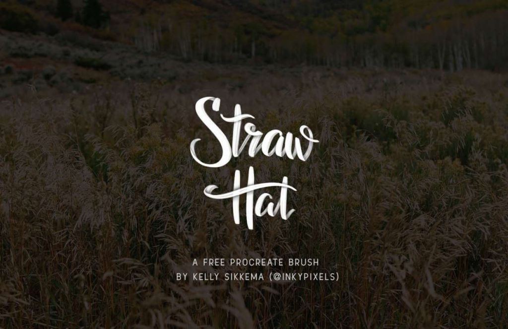 Straw_Hat_by_Inkypixels