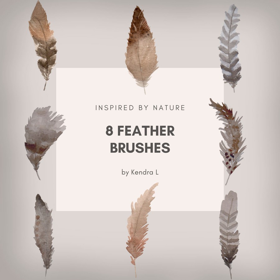 8 Free Feather Brushes