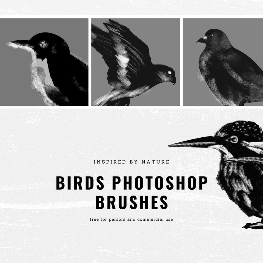 Birds Photoshop Brushes