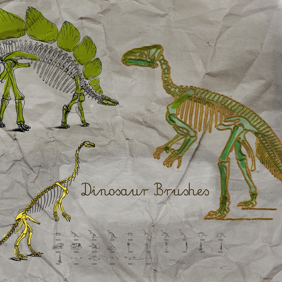 Dinosaur Bones and Skeletons free Brushes