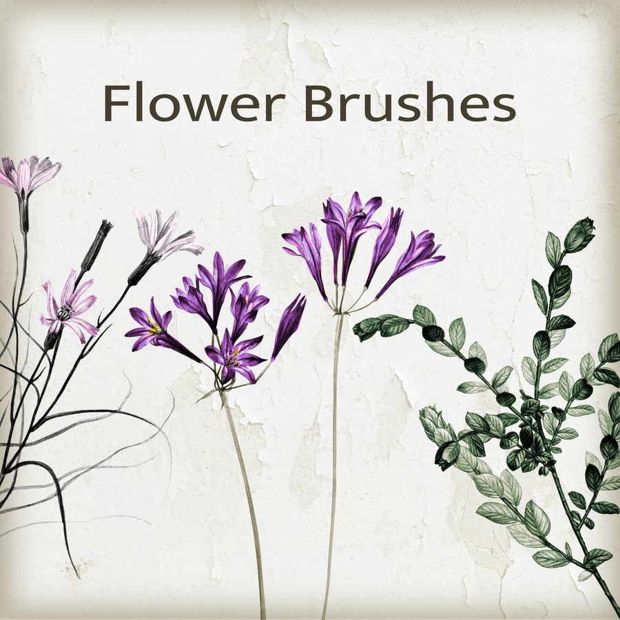 9 Free Flower Brushes