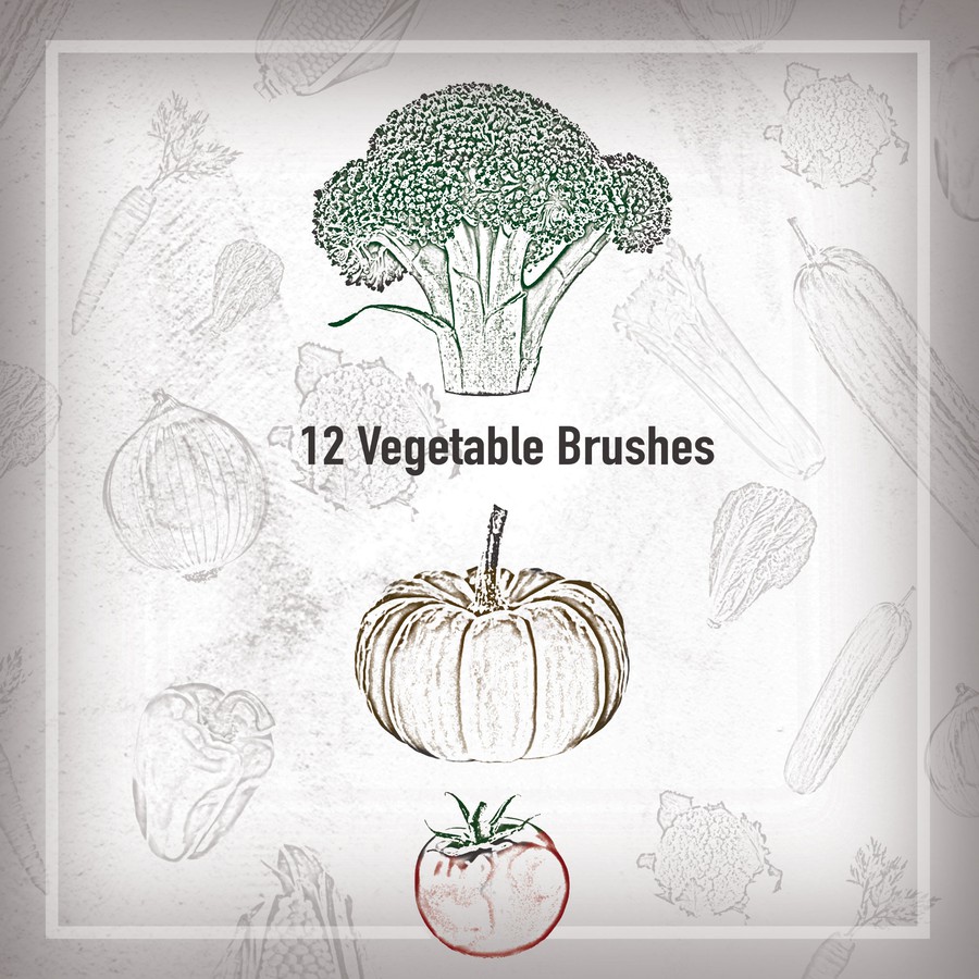 12 Vegetable Brushes